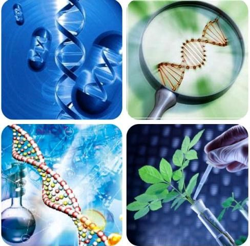 Phòng Thí nghiệm Công nghệ Sinh học Môi trường